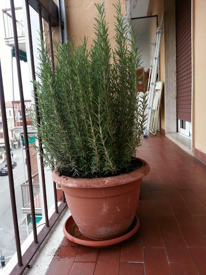 Hotel La Via Per Milano Vigevano Zewnętrze zdjęcie